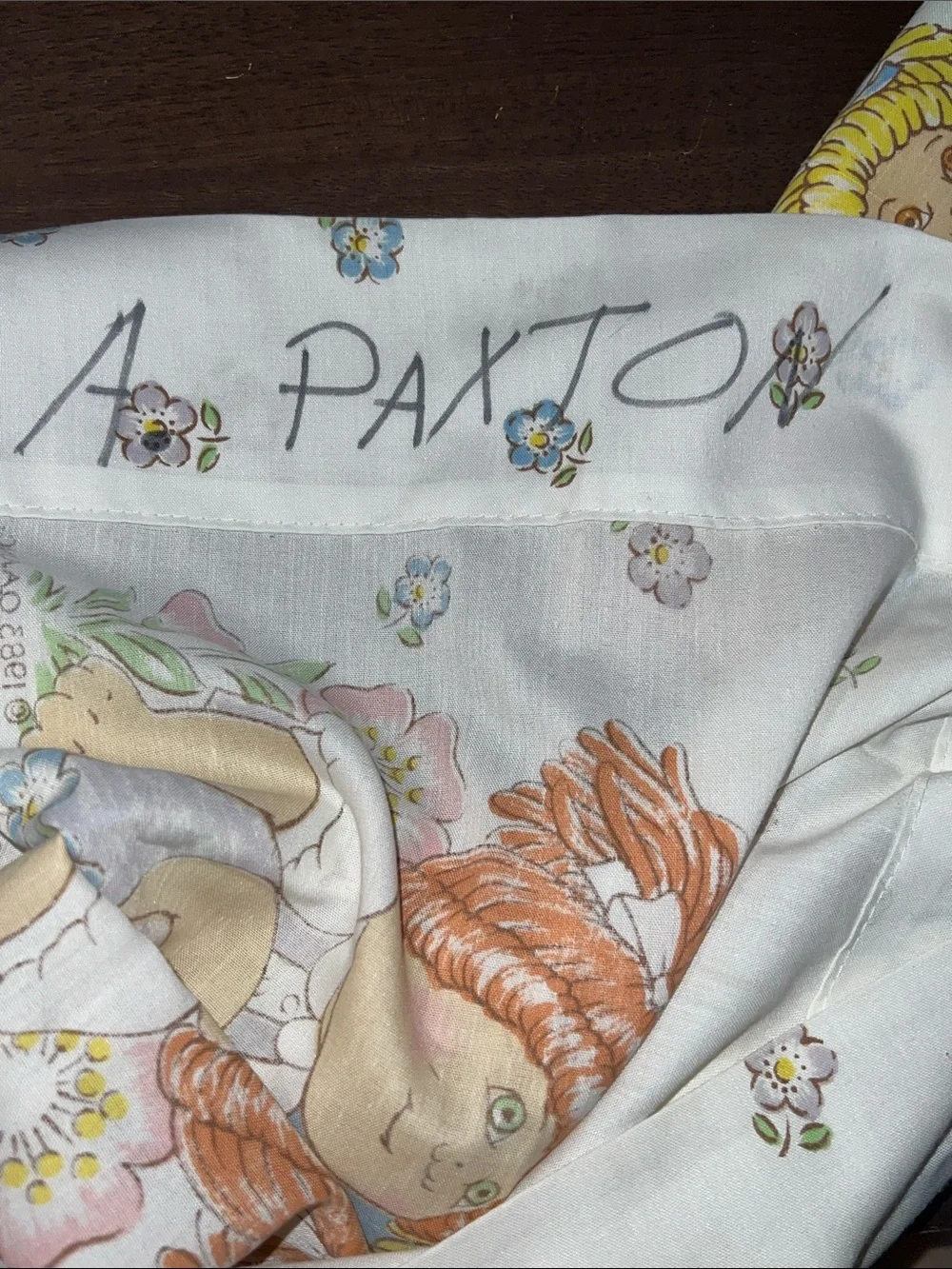 VTG 1983 Cabbage Patch pillow cases